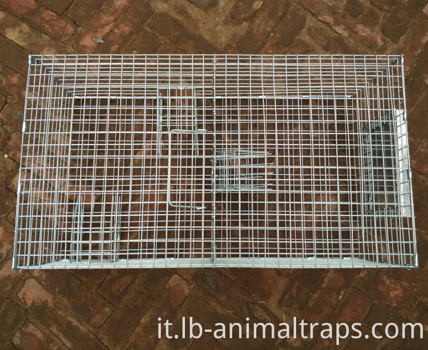 Repeating Control Trap Wire Cage